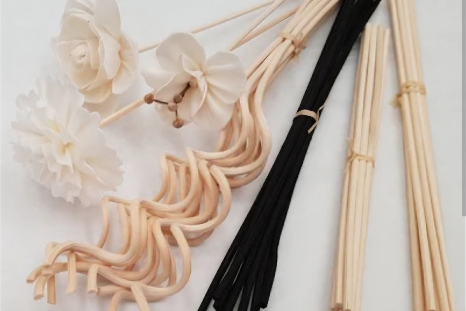 Image with text section