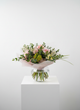 Blush Whispers