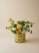 Citrus Sunshine