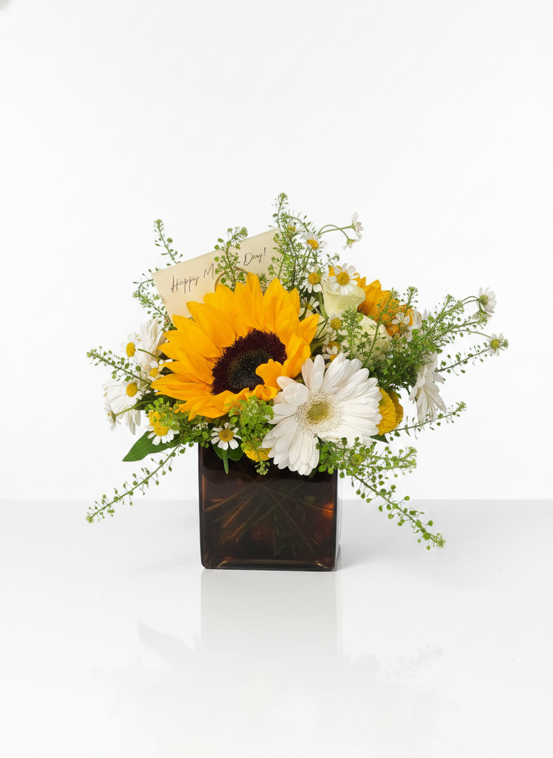 Daisy & Sun