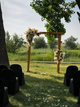 Ceremony Arrangements